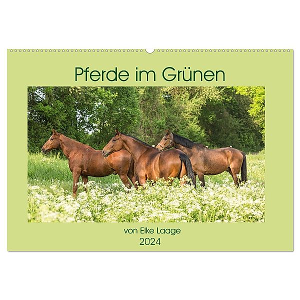 Pferde im Grünen (Wandkalender 2024 DIN A2 quer), CALVENDO Monatskalender, Elke Laage