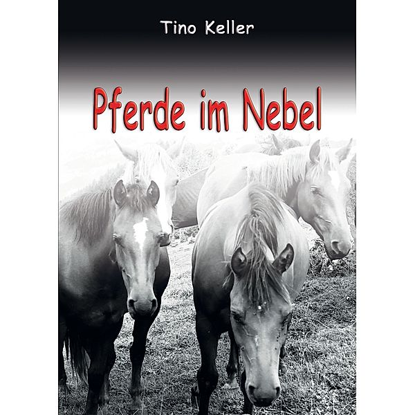 Pferde im Nebel, Tino Keller