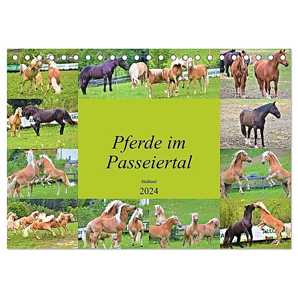 Pferde im Passeiertal (Tischkalender 2024 DIN A5 quer), CALVENDO Monatskalender, Markus Pixner