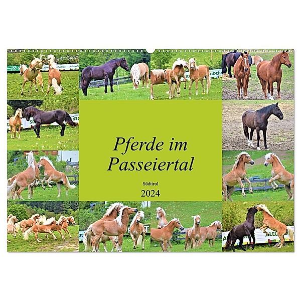 Pferde im Passeiertal (Wandkalender 2024 DIN A2 quer), CALVENDO Monatskalender, Markus Pixner
