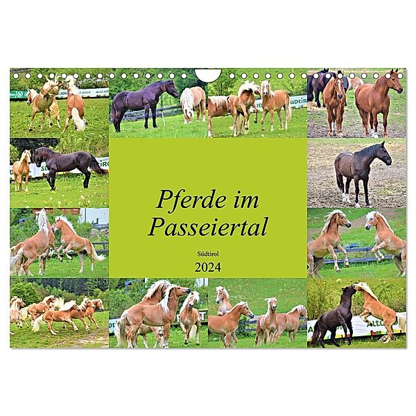 Pferde im Passeiertal (Wandkalender 2024 DIN A4 quer), CALVENDO Monatskalender, Markus Pixner