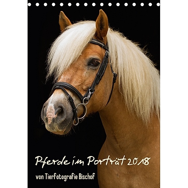 Pferde im Portait (Tischkalender 2018 DIN A5 hoch), Tierfotografie Bischof