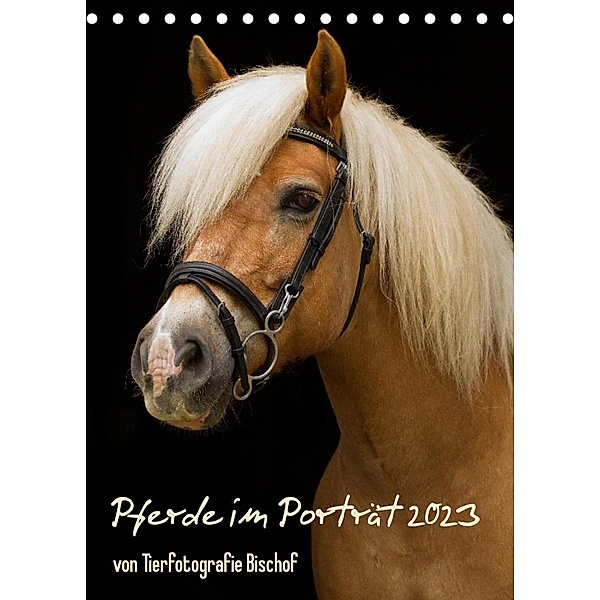 Pferde im Portait (Tischkalender 2023 DIN A5 hoch), Tierfotografie Bischof, Melanie Bischof