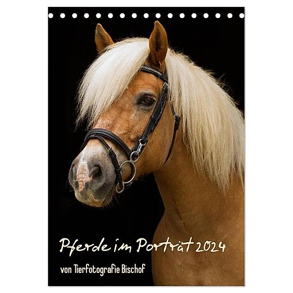 Pferde im Portait (Tischkalender 2024 DIN A5 hoch), CALVENDO Monatskalender, Melanie Bischof, Tierfotografie Bischof