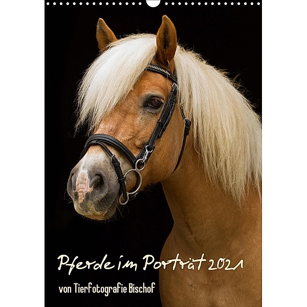 Pferde im Portait (Wandkalender 2021 DIN A3 hoch), Tierfotografie Bischof, Melanie Bischof