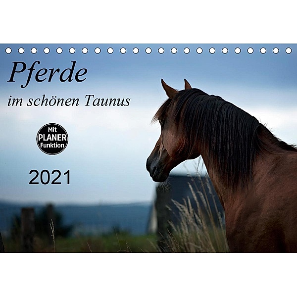 Pferde im schönen Taunus (Tischkalender 2021 DIN A5 quer), Petra Schiller