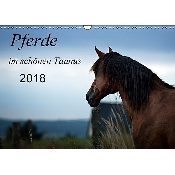 Pferde im schönen Taunus (Wandkalender 2018 DIN A3 quer), Petra Schiller