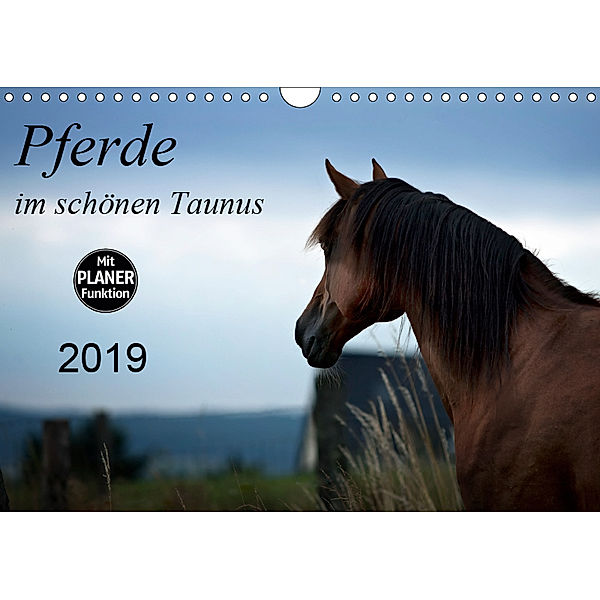 Pferde im schönen Taunus (Wandkalender 2019 DIN A4 quer), Petra Schiller