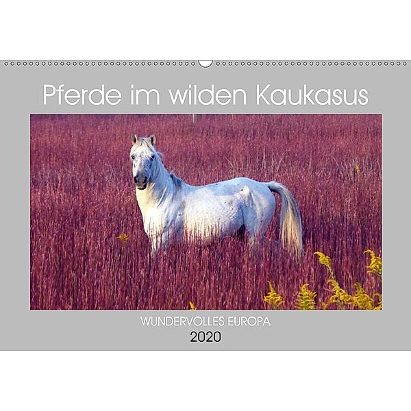 Pferde im wilden Kaukasus (Wandkalender 2020 DIN A2 quer)