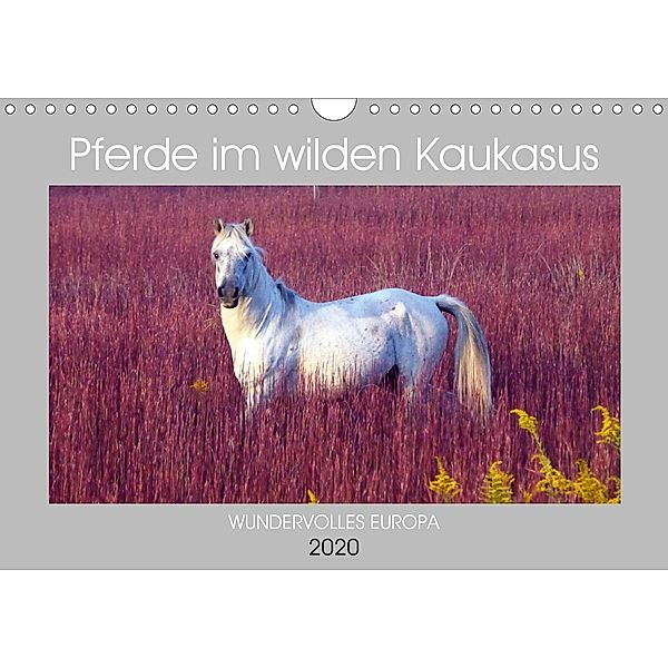 Pferde im wilden Kaukasus (Wandkalender 2020 DIN A4 quer)