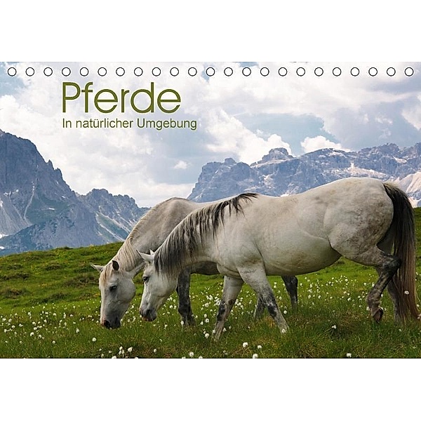 Pferde - In natürlicher Umgebung (Tischkalender 2017 DIN A5 quer), Georg Niederkofler