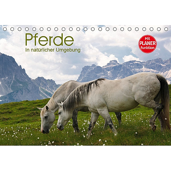Pferde - In natürlicher Umgebung (Tischkalender 2019 DIN A5 quer), Georg Niederkofler