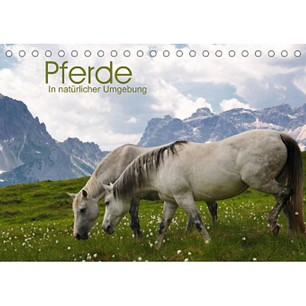 Pferde - In natürlicher Umgebung (Tischkalender 2022 DIN A5 quer), Georg Niederkofler