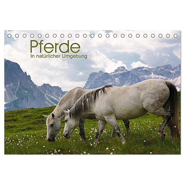 Pferde - In natürlicher Umgebung (Tischkalender 2024 DIN A5 quer), CALVENDO Monatskalender, Georg Niederkofler