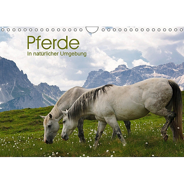 Pferde - In natürlicher Umgebung (Wandkalender 2019 DIN A4 quer), Georg Niederkofler