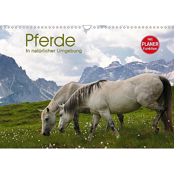 Pferde - In natürlicher Umgebung (Wandkalender 2020 DIN A3 quer), Georg Niederkofler
