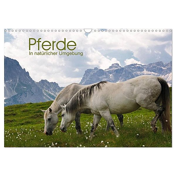 Pferde - In natürlicher Umgebung (Wandkalender 2024 DIN A3 quer), CALVENDO Monatskalender, Georg Niederkofler