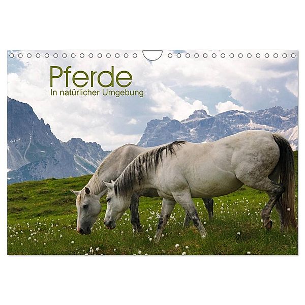 Pferde - In natürlicher Umgebung (Wandkalender 2024 DIN A4 quer), CALVENDO Monatskalender, Georg Niederkofler