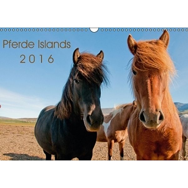 Pferde Islands (Wandkalender 2016 DIN A3 quer), Philipp Gilbert