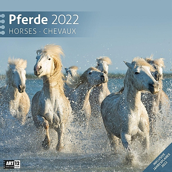 Pferde Kalender 2022 - 30x30