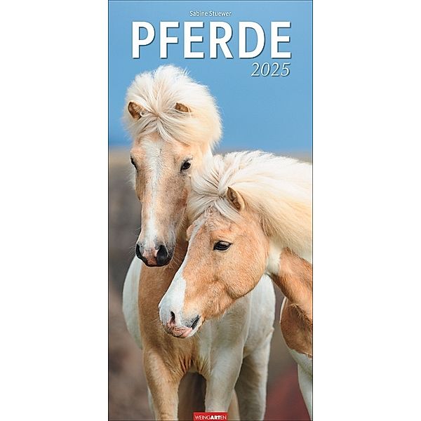 Pferde Kalender 2025