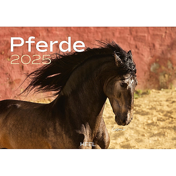 Pferde Kalender 2025 Wandkalender