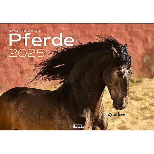Pferde Kalender 2025 Wandkalender