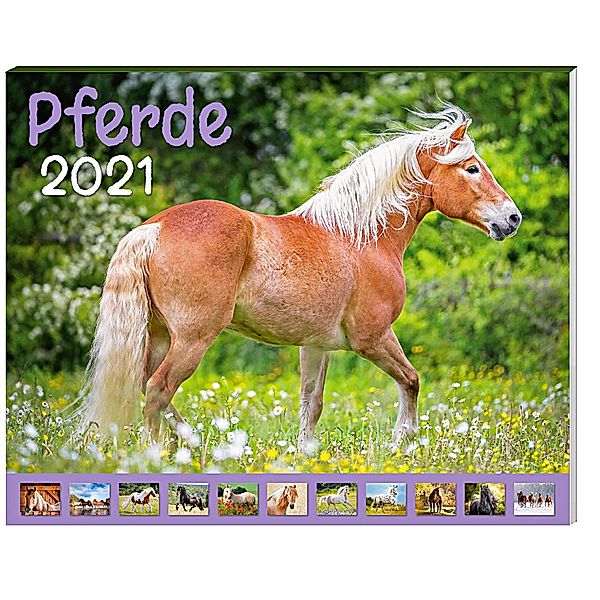 Pferde Kalender-Paket 2021, 9-teilig