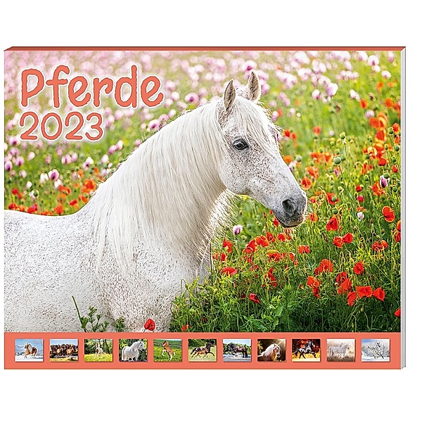 Pferde Kalenderpaket 2023, 9-teilig