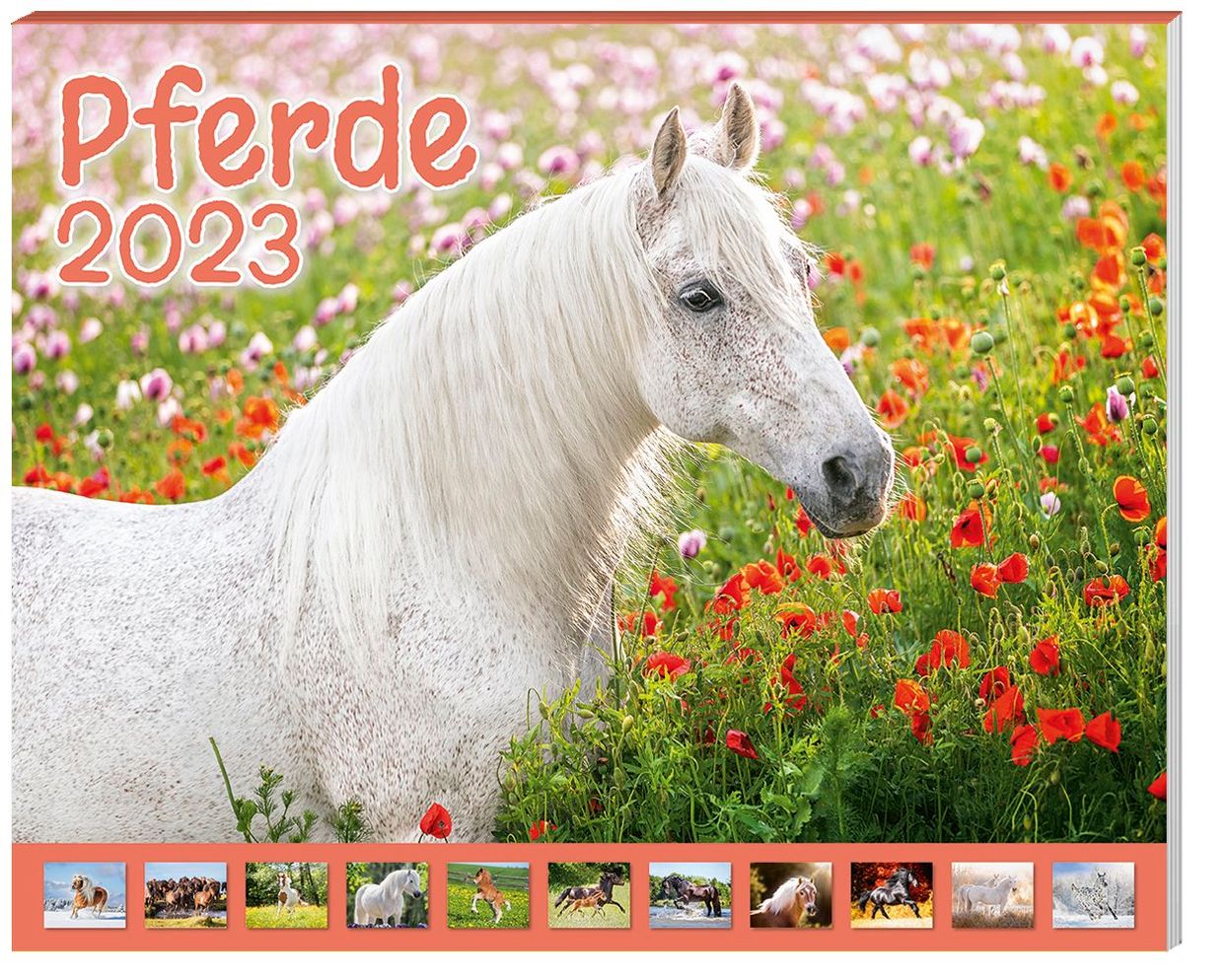 Pferde Kalenderpaket 2023, 9-teilig - Kalender bei Weltbild.de