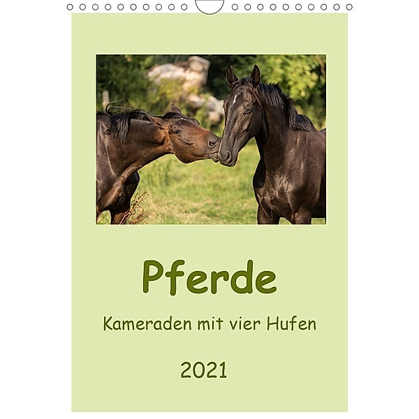 Pferde - Kameraden mit vier Hufen (Wandkalender 2021 DIN A4 hoch), Elke Laage
