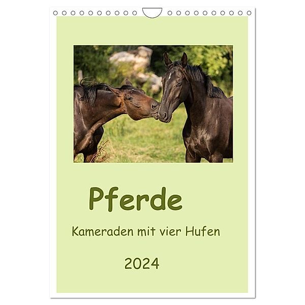 Pferde - Kameraden mit vier Hufen (Wandkalender 2024 DIN A4 hoch), CALVENDO Monatskalender, Elke Laage