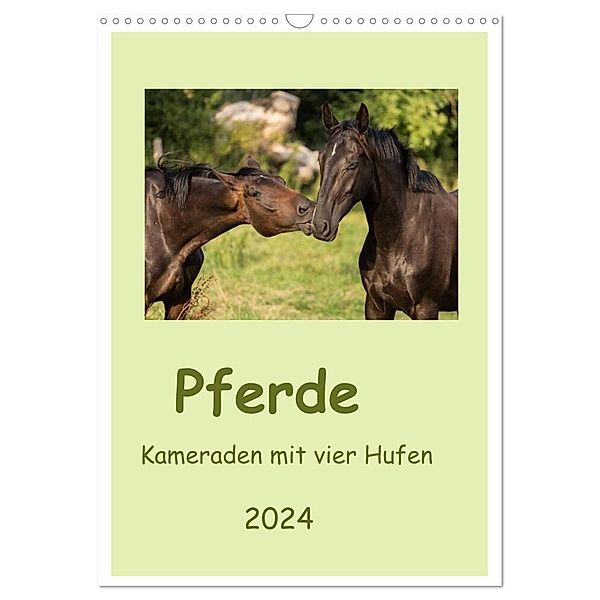 Pferde - Kameraden mit vier Hufen (Wandkalender 2024 DIN A3 hoch), CALVENDO Monatskalender, Elke Laage