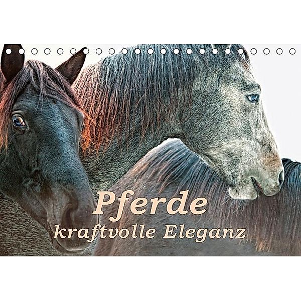 Pferde - kraftvolle Eleganz (Tischkalender 2017 DIN A5 quer), Liselotte Brunner-Klaus
