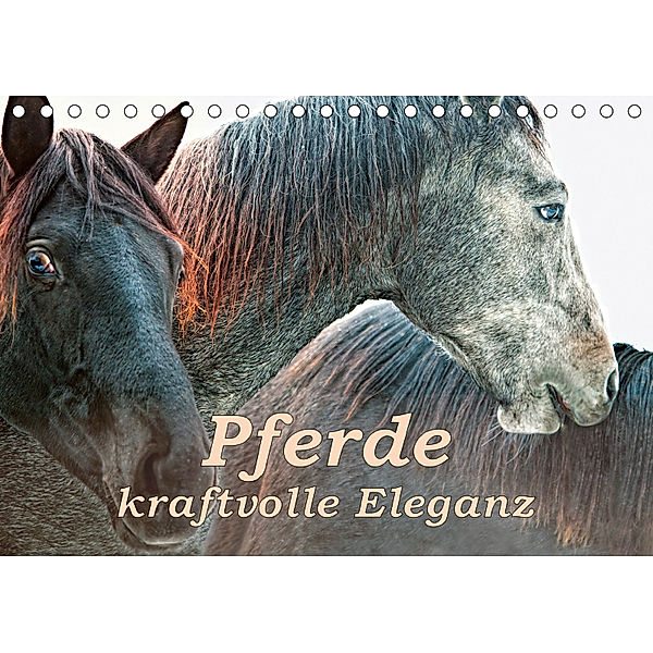 Pferde - kraftvolle Eleganz (Tischkalender 2019 DIN A5 quer), Liselotte Brunner-Klaus