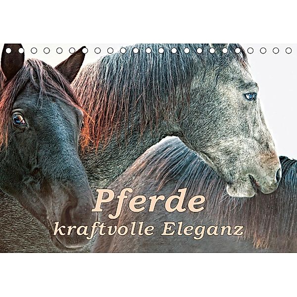 Pferde - kraftvolle Eleganz (Tischkalender 2020 DIN A5 quer), Liselotte Brunner-Klaus