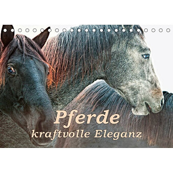 Pferde - kraftvolle Eleganz (Tischkalender 2022 DIN A5 quer), Liselotte Brunner-Klaus