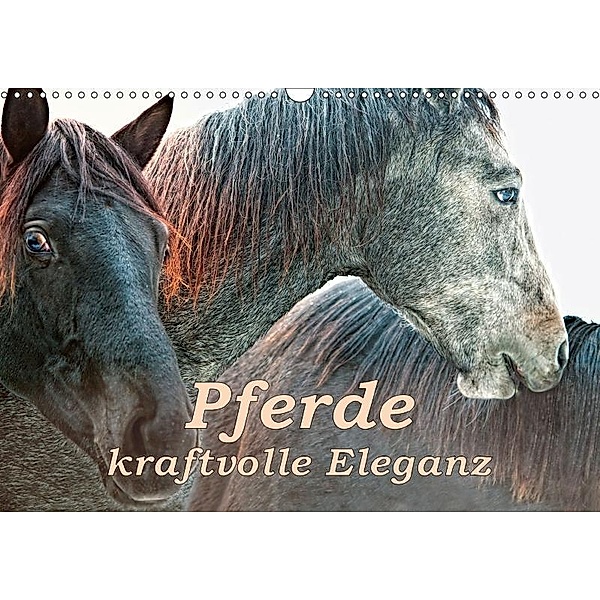 Pferde - kraftvolle Eleganz (Wandkalender 2017 DIN A3 quer), Liselotte Brunner-Klaus