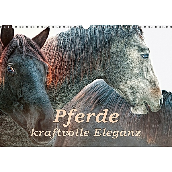 Pferde - kraftvolle Eleganz (Wandkalender 2018 DIN A3 quer) Dieser erfolgreiche Kalender wurde dieses Jahr mit gleichen, Liselotte Brunner-Klaus