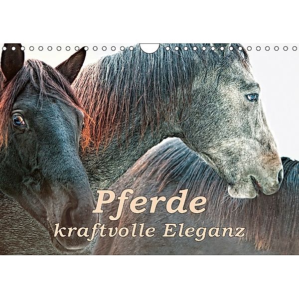 Pferde - kraftvolle Eleganz (Wandkalender 2018 DIN A4 quer) Dieser erfolgreiche Kalender wurde dieses Jahr mit gleichen, Liselotte Brunner-Klaus