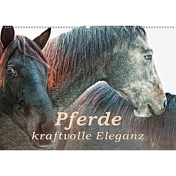 Pferde - kraftvolle Eleganz (Wandkalender 2020 DIN A2 quer), Liselotte Brunner-Klaus