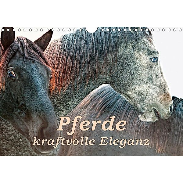 Pferde - kraftvolle Eleganz (Wandkalender 2020 DIN A4 quer), Liselotte Brunner-Klaus