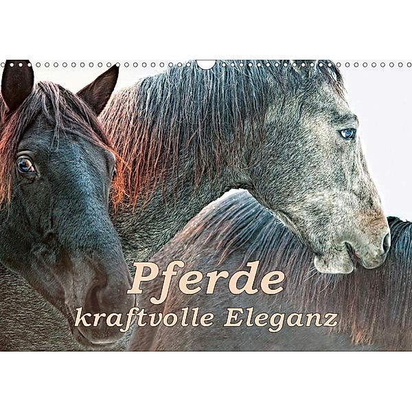 Pferde - kraftvolle Eleganz (Wandkalender 2021 DIN A3 quer), Liselotte Brunner-Klaus
