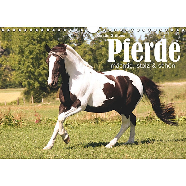 Pferde - mächtig, stolz & schön (Wandkalender 2019 DIN A4 quer), Kerstin Grüttner