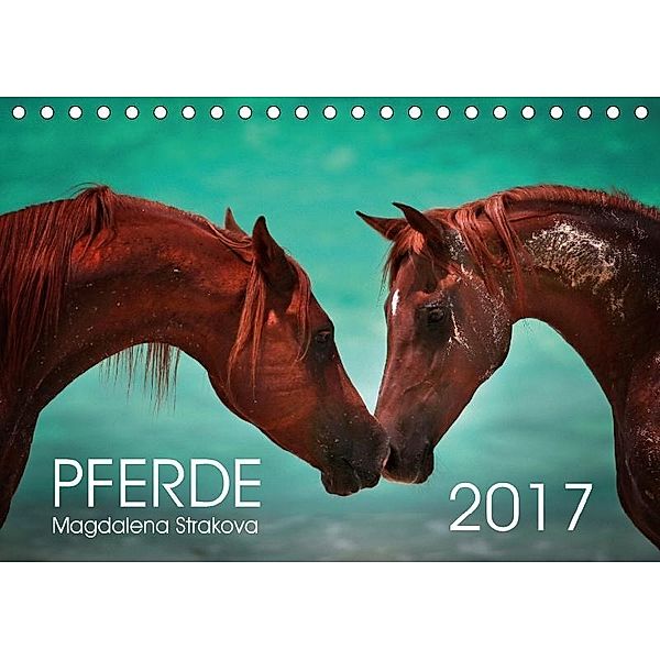 Pferde - Magdalena Strakova (Tischkalender 2017 DIN A5 quer), Magdalena Strakova