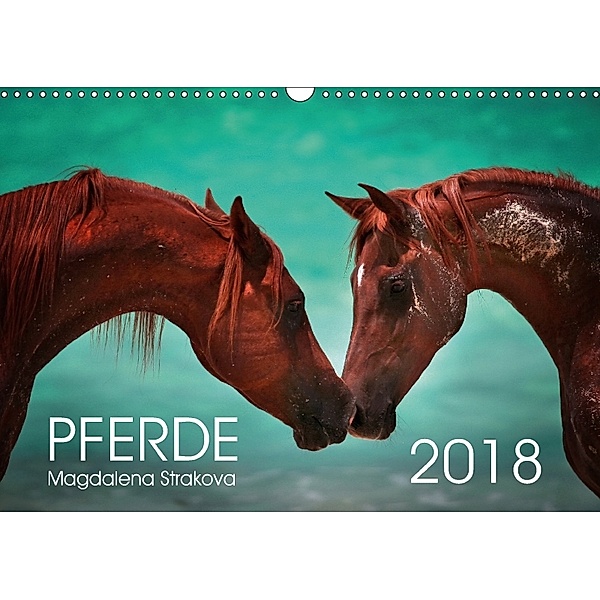 Pferde - Magdalena Strakova (Wandkalender 2018 DIN A3 quer) Dieser erfolgreiche Kalender wurde dieses Jahr mit gleichen, Magdalena Strakova
