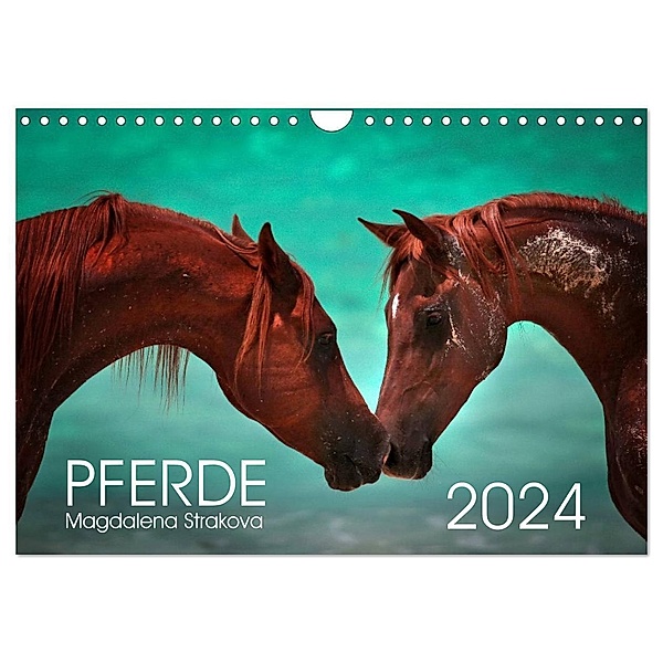 Pferde - Magdalena Strakova (Wandkalender 2024 DIN A4 quer), CALVENDO Monatskalender, Magdalena Strakova