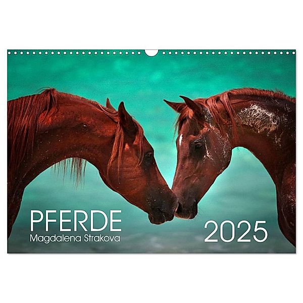 Pferde - Magdalena Strakova (Wandkalender 2025 DIN A3 quer), CALVENDO Monatskalender, Calvendo, Magdalena Strakova