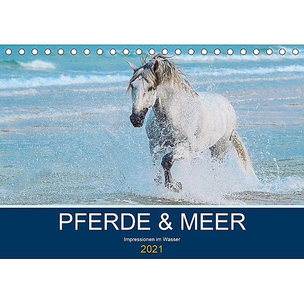 PFERDE & MEER (Tischkalender 2021 DIN A5 quer), Petra Eckerl Tierfotografie