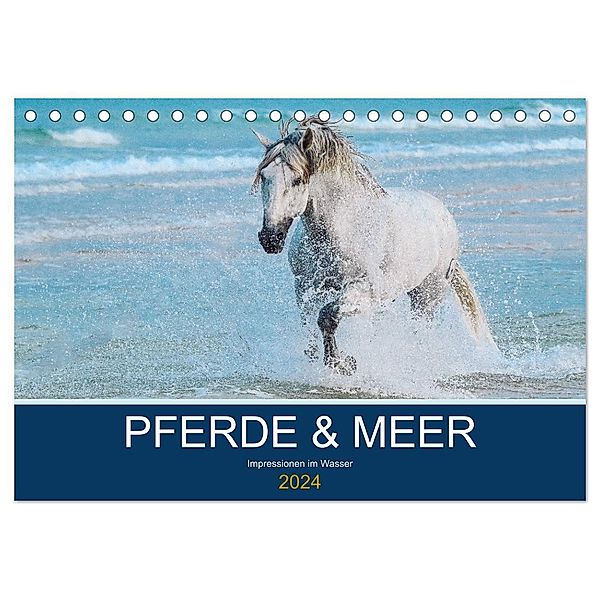 PFERDE & MEER (Tischkalender 2024 DIN A5 quer), CALVENDO Monatskalender, Petra Eckerl Tierfotografie